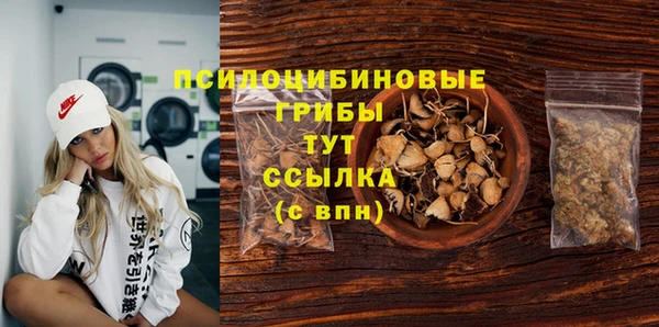 ECSTASY Абаза