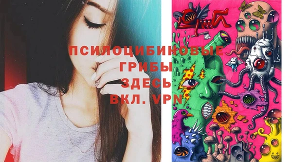 ешки Абинск