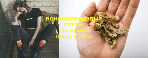 ECSTASY Абаза