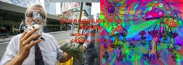 ешки Абинск