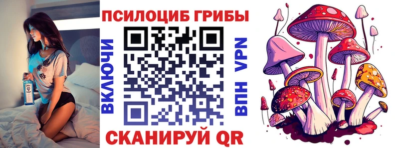 Галлюциногенные грибы MAGIC MUSHROOMS  блэк спрут зеркало  Димитровград 