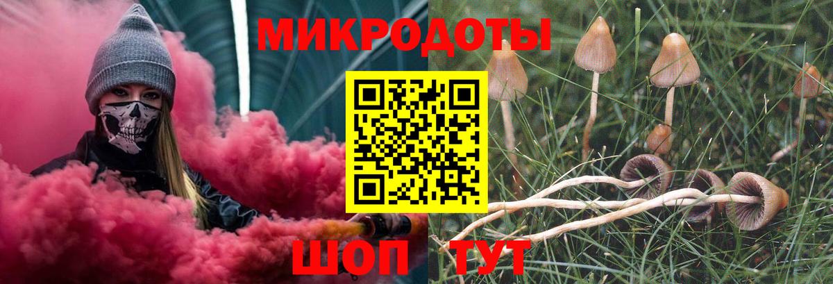 Димитровград  Галлюциногенные грибы мицелий  Галлюциногенные грибы Magic Shrooms  где купить наркотик  Вход с VPN 